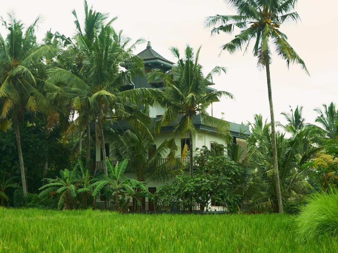 Eden House Ubud — photo 1 of 52