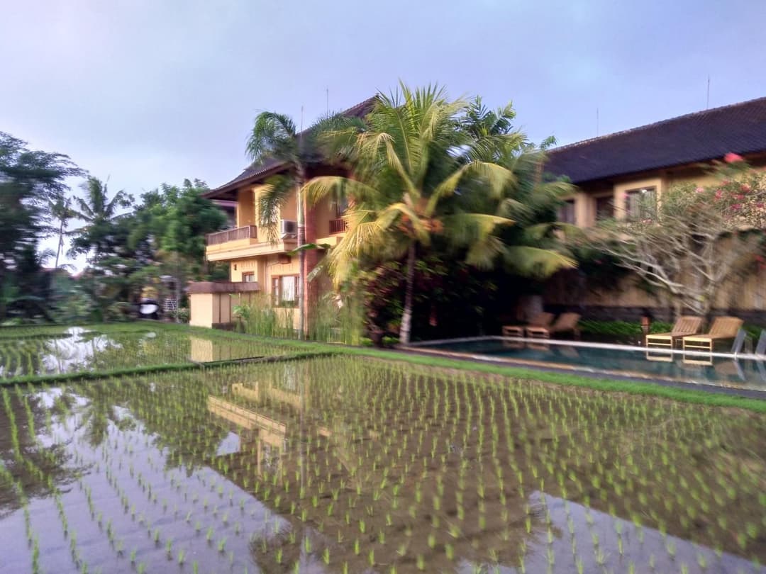 Ubud Lestari Bungalows — photo 1 of 48
