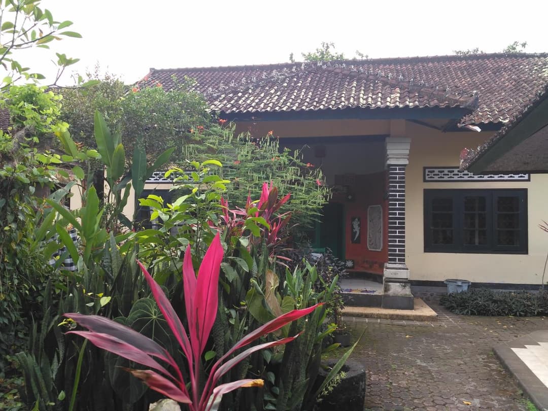 Dhangin Taman — photo 1 of 57