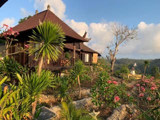 Poh Manis Lembongan