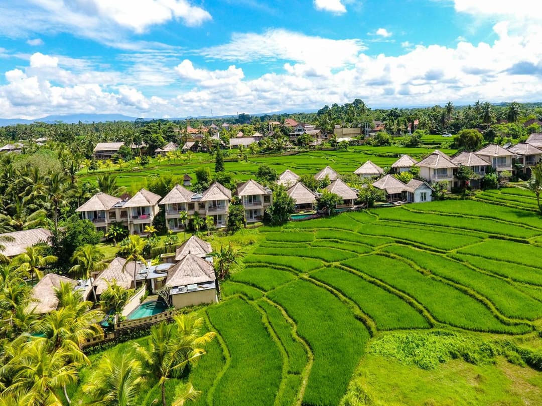Mesari Hotel Ubud — photo 1 of 91