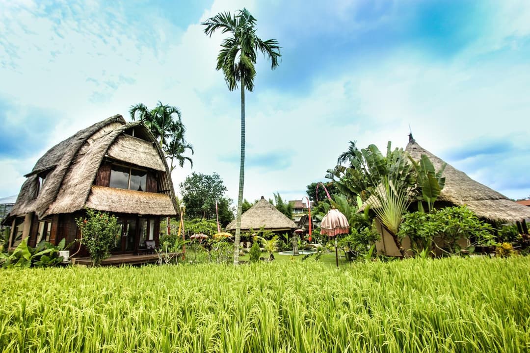 Ubud Hidden Villa Yone village — photo 1 of 1