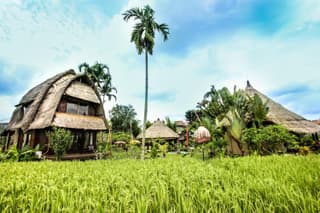 Ubud Hidden Villa Yone village
