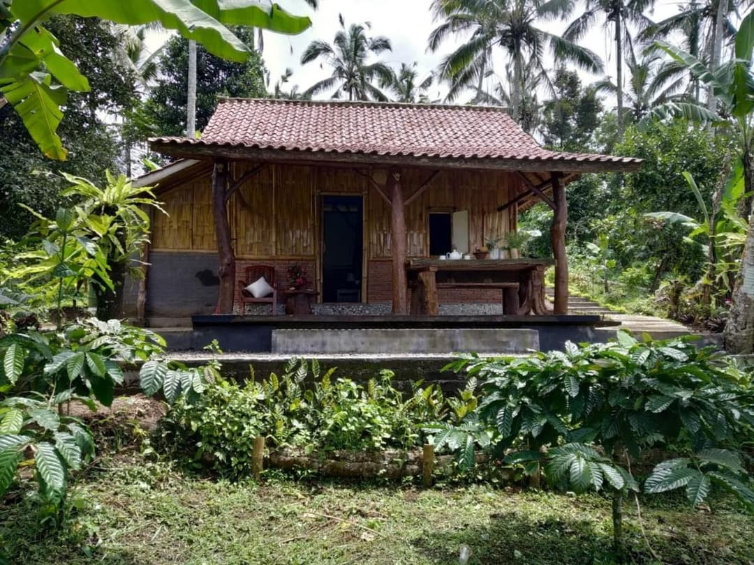 Bali mountain forest cabin — photo 1 of 1