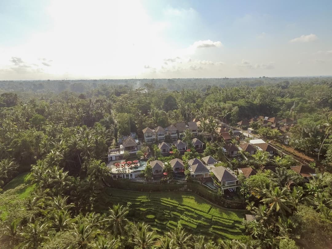 Puri Sebali Resort — photo 1 of 187
