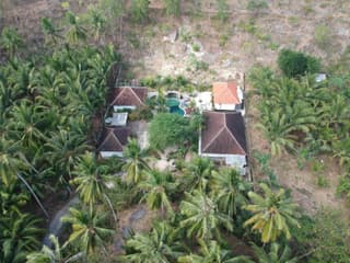 Tarzan Marriott On Penida