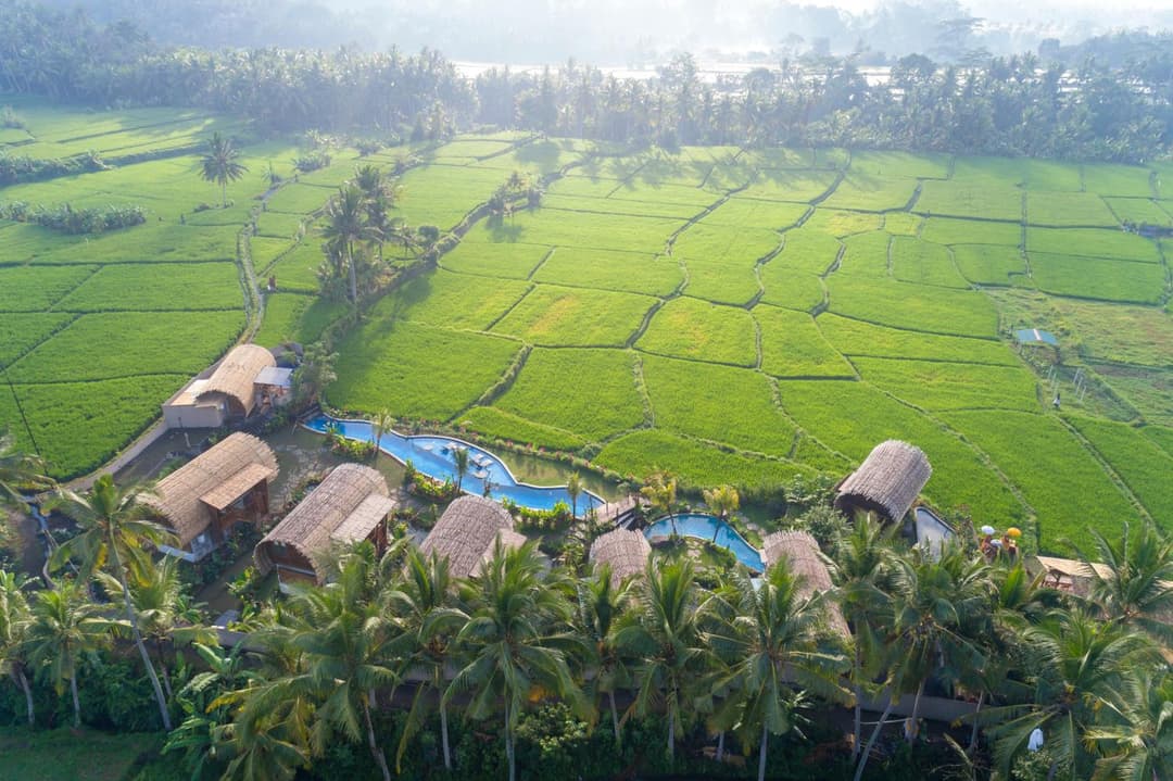 Beehouse Dijiwa Ubud — photo 1 of 54