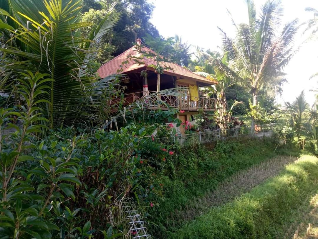 Babahan Farmstay — photo 1 of 43