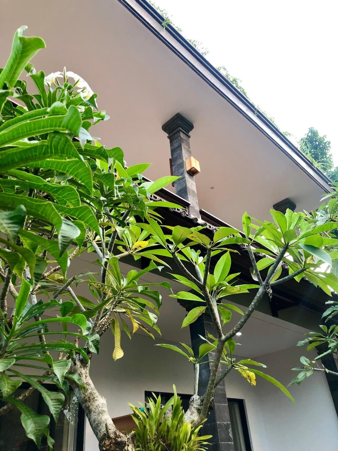 The Hidden Bali Inn — photo 1 of 140