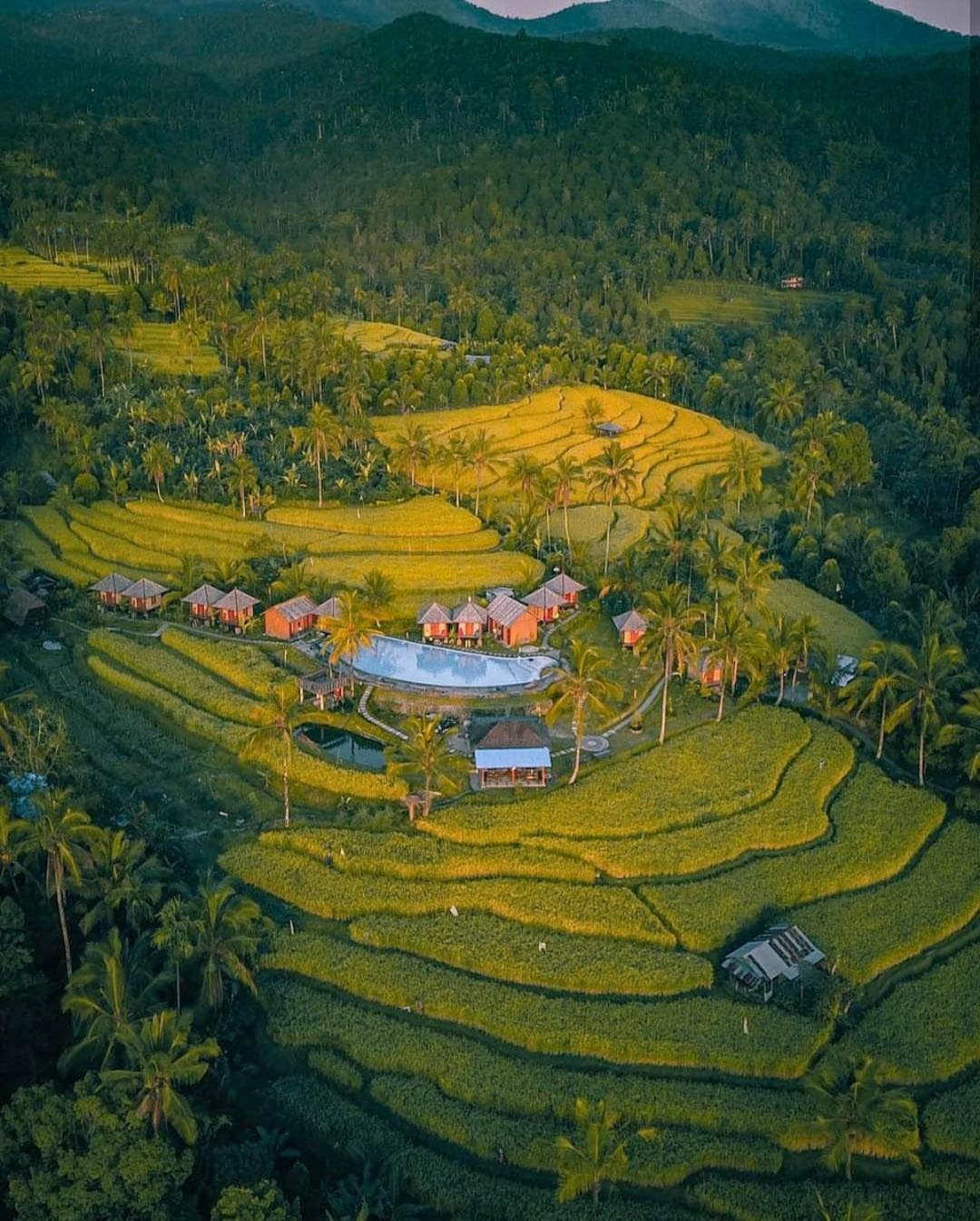 Puri Sunny Camp — photo 1 of 67