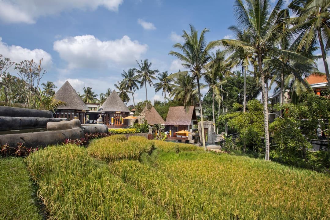 Green Field Resort Ubud — photo 1 of 108