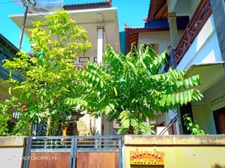 Tira Amed Homestay