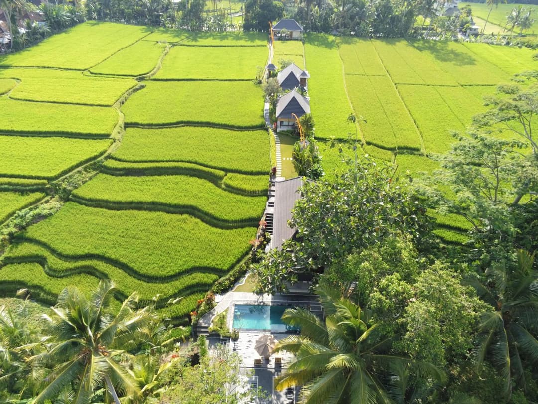 Puri Raya Villa — photo 1 of 153