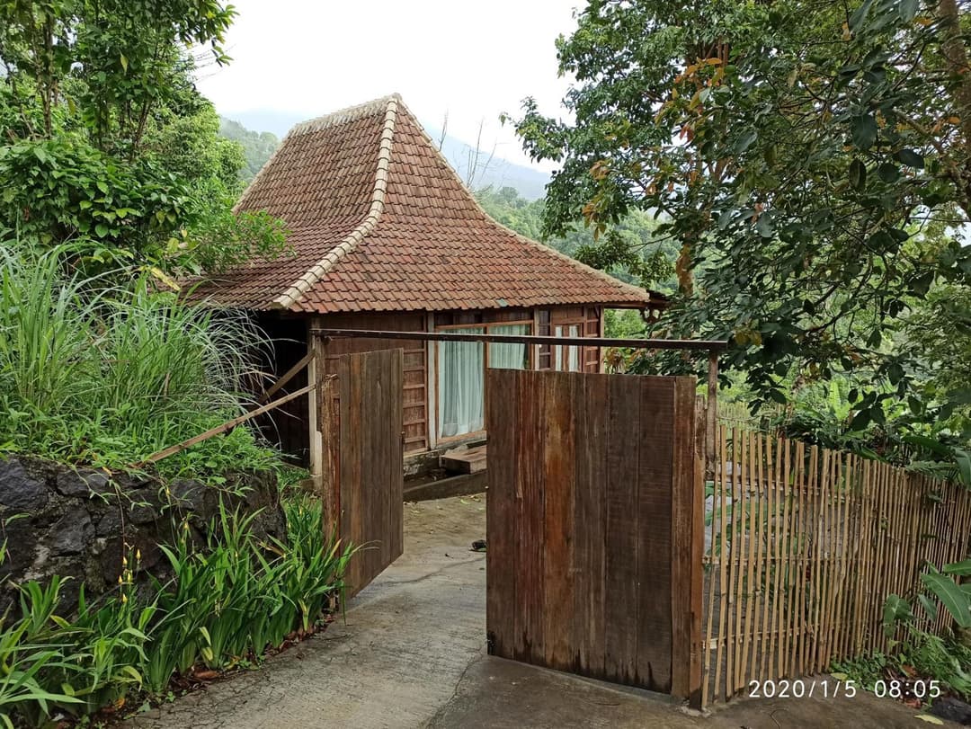 DWan Tea Mountain Side — photo 1 of 1