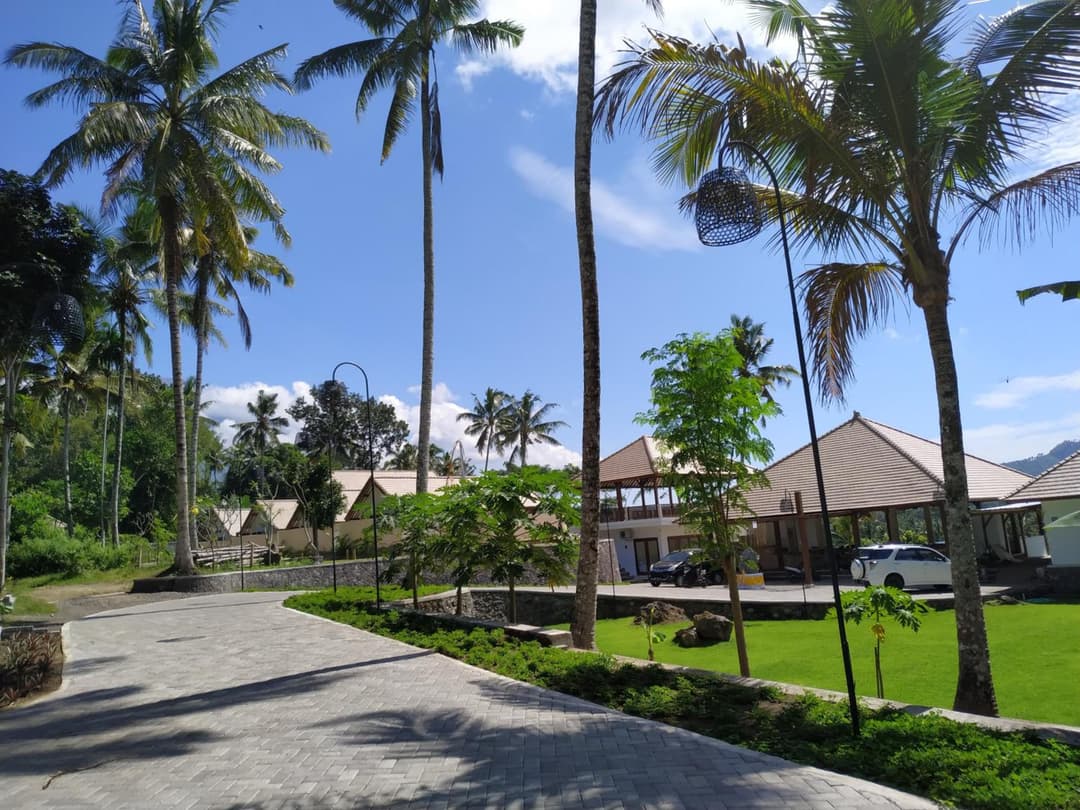Palmterrace — photo 1 of 1