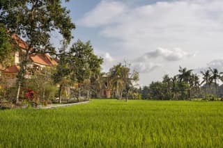 Green Field Hotel and Restaurant