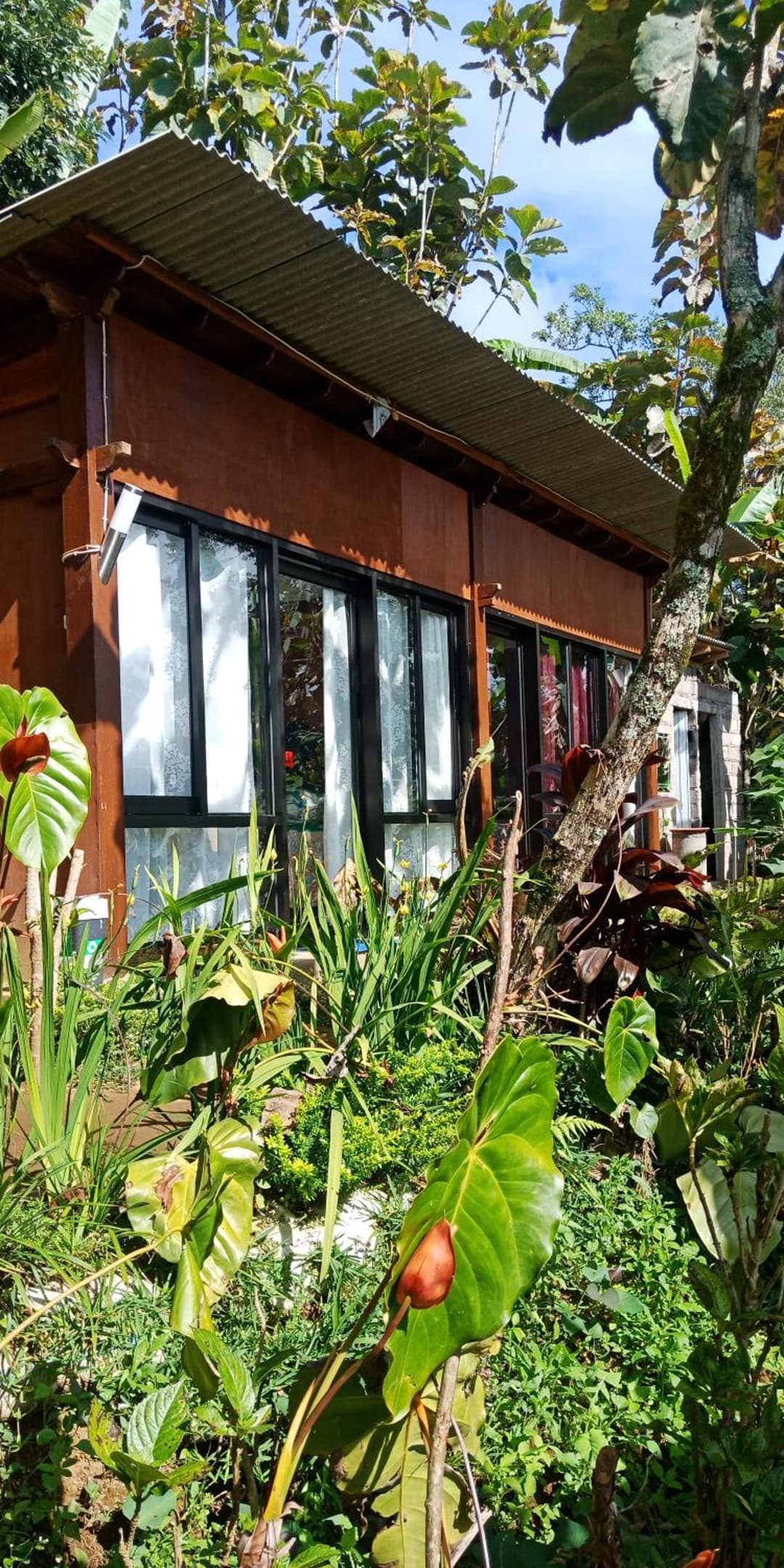 jungleadventure cabin camping — photo 1 of 19