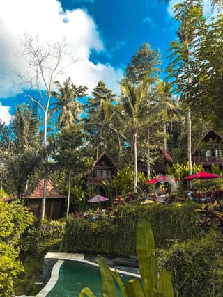 The Jungle Villa