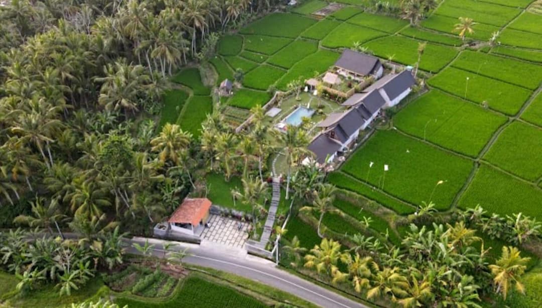 Green Coconut Cottage — photo 1 of 78