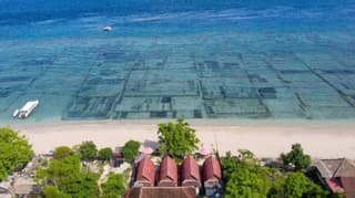 Santen Beach Bungalows