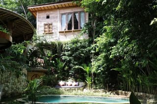 Roots Tree House
