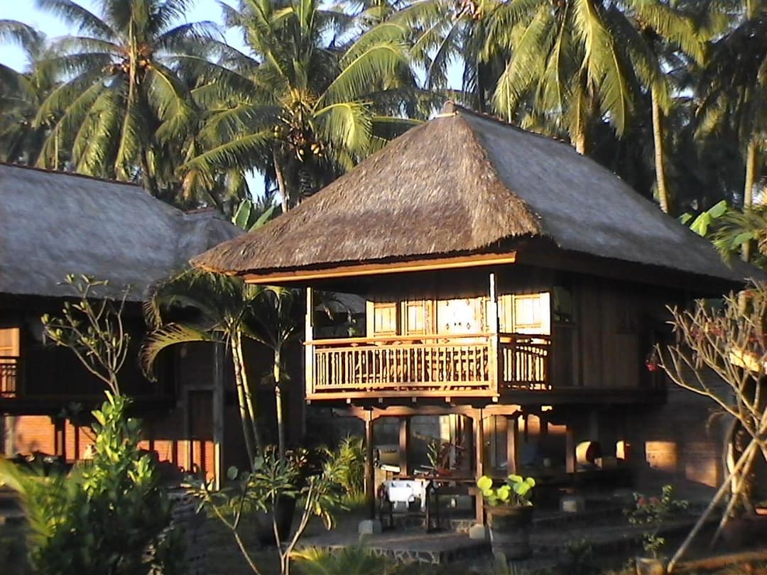 Singko Lovina — photo 1 of 41