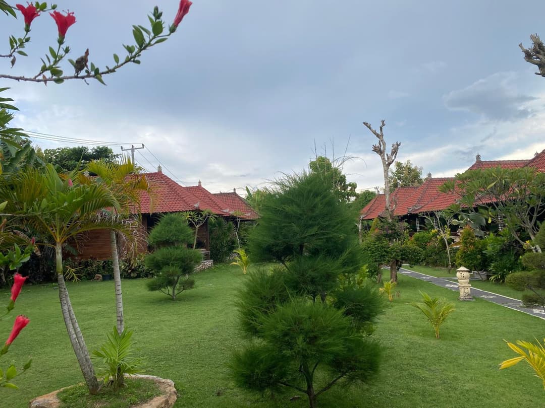 The Niti Hut's — photo 1 of 64
