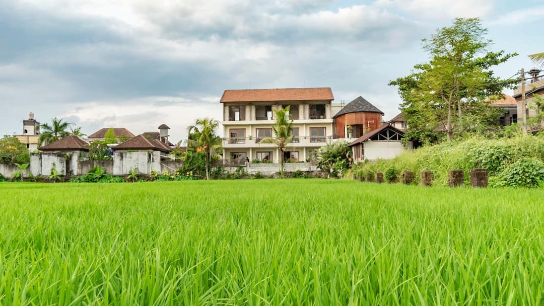 Juli House Ubud by Mahaputra — photo 1 of 34