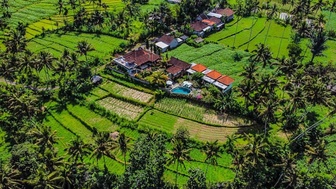 Dana Bali Ricefield Villa — photo 1 of 47