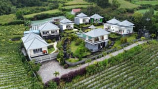 Batur Green Hill and Hot Spring