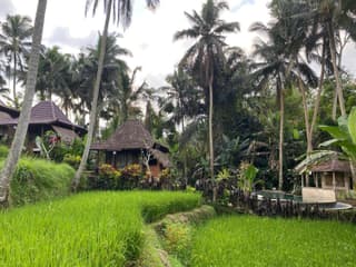 Junjungan Suite