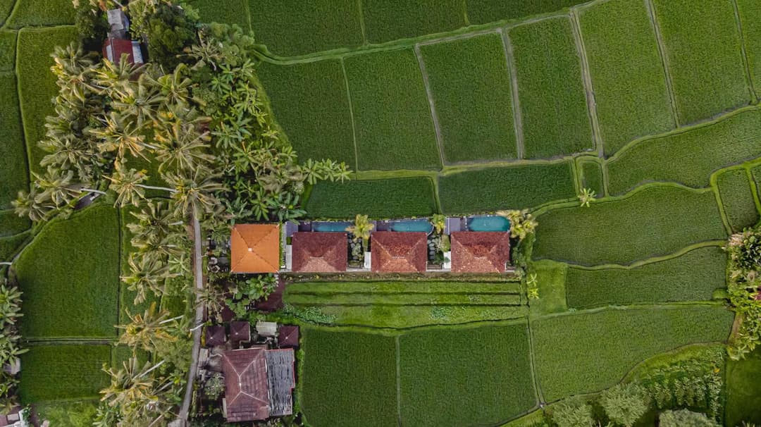 Airsania Ubud Antique Villas — photo 1 of 66