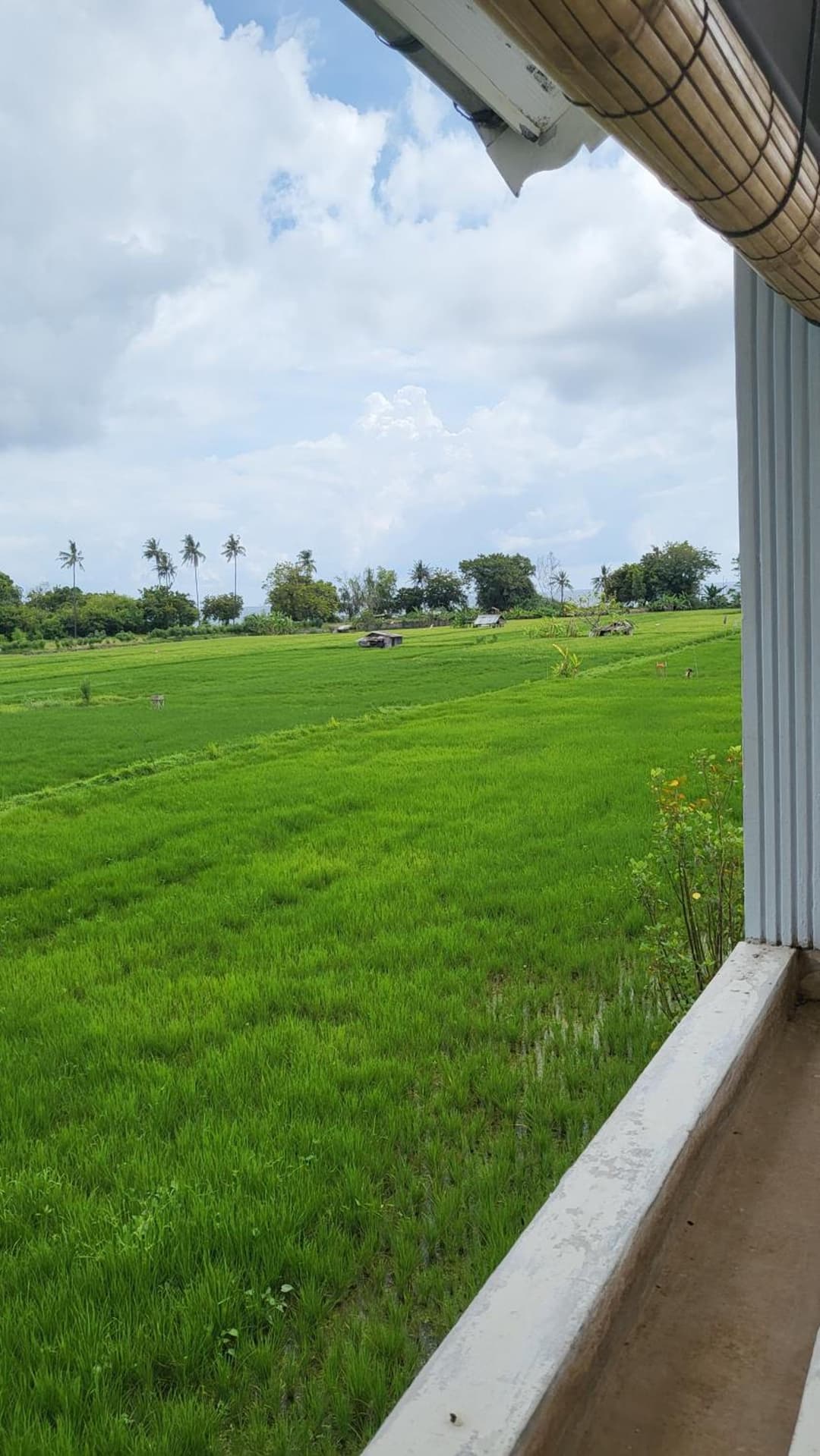 Kartika Villas — photo 1 of 77
