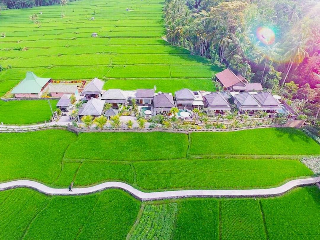 Villa JJ and Spa Ubud — photo 1 of 145