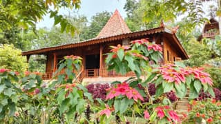 MUNDUK RETREAT - Pondok Pekak Lelut