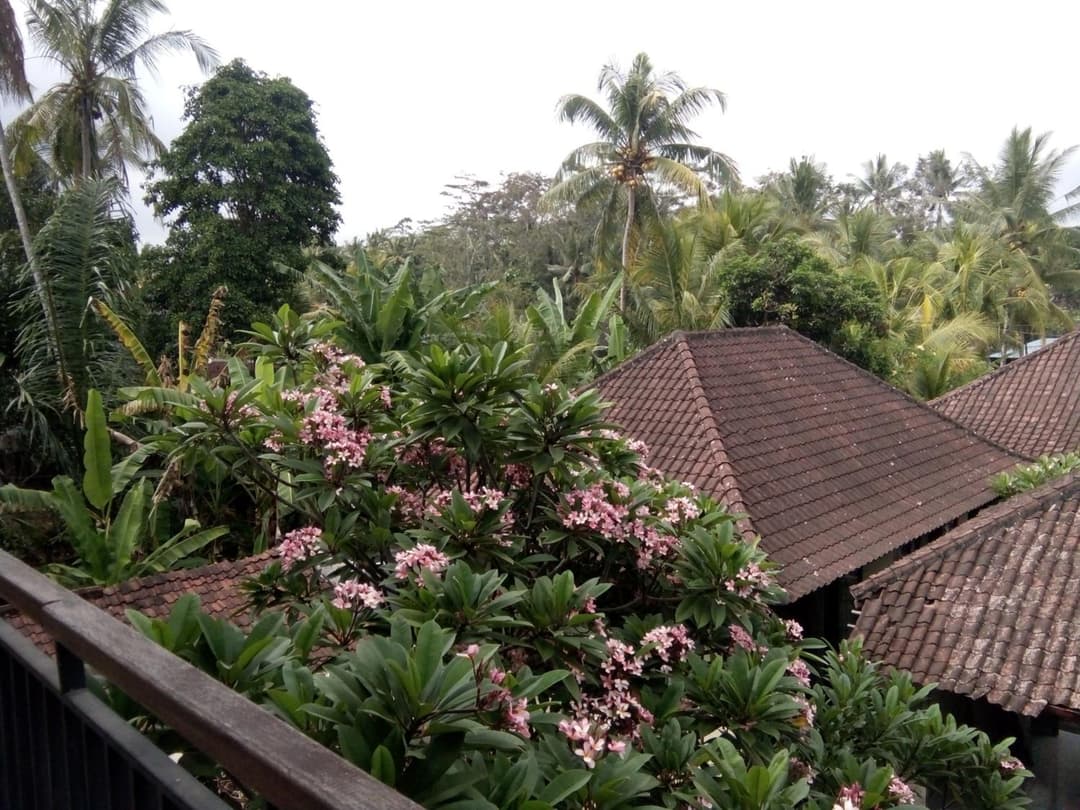 Manada Guest House — photo 1 of 21