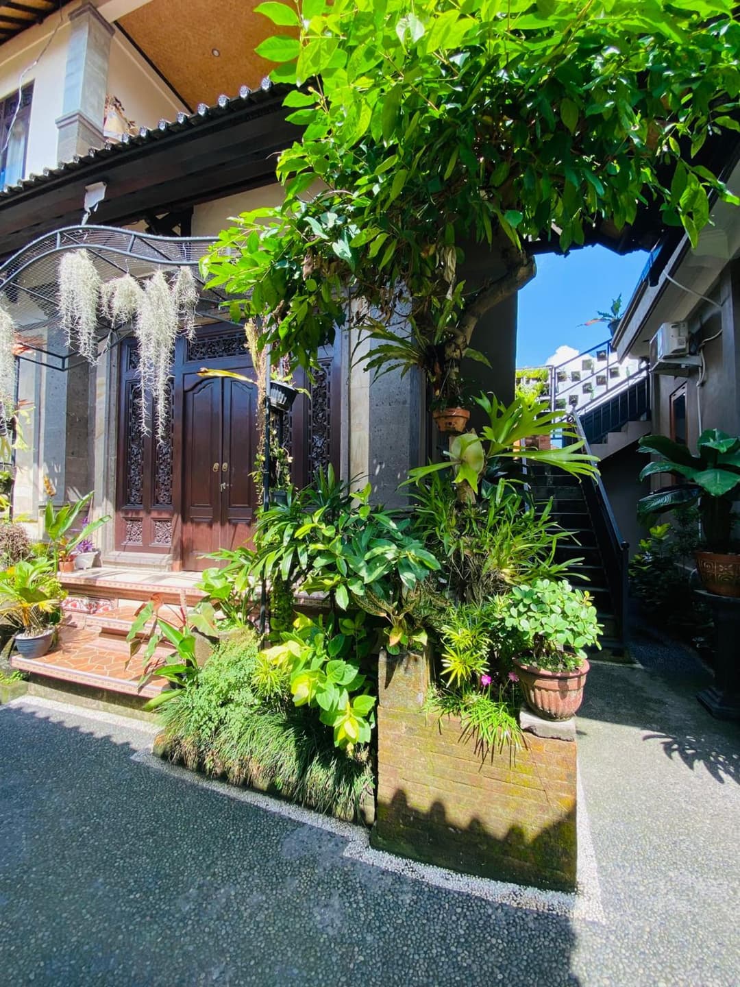 Wina Ubud B&B — photo 1 of 117