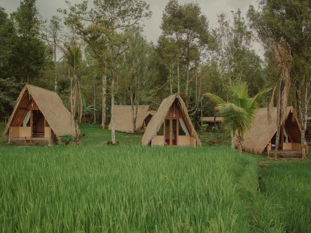 Da'kayu Glamping — photo 1 of 52