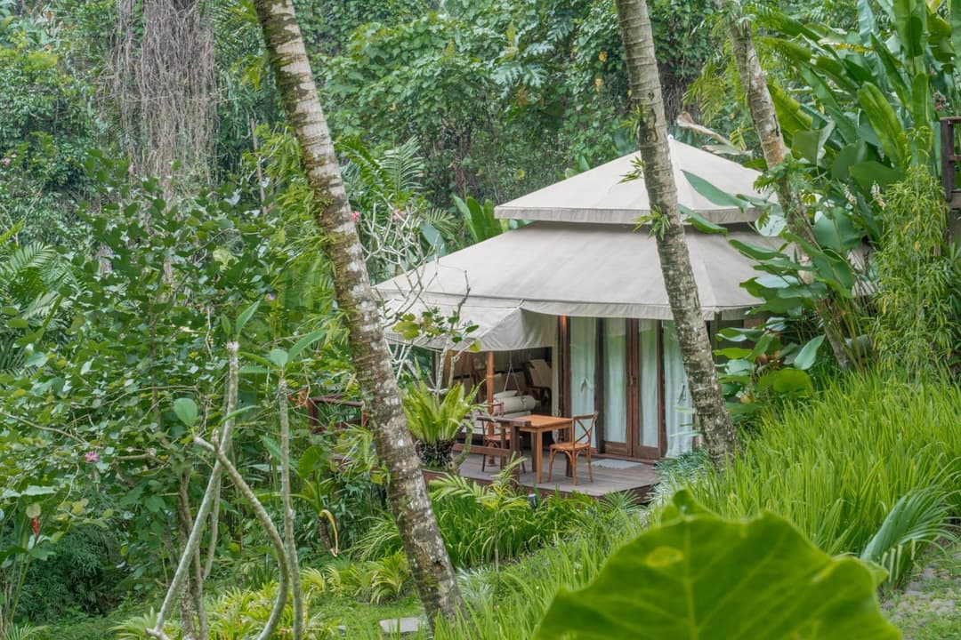 Galalima Glamping by AGATA — photo 1 of 49