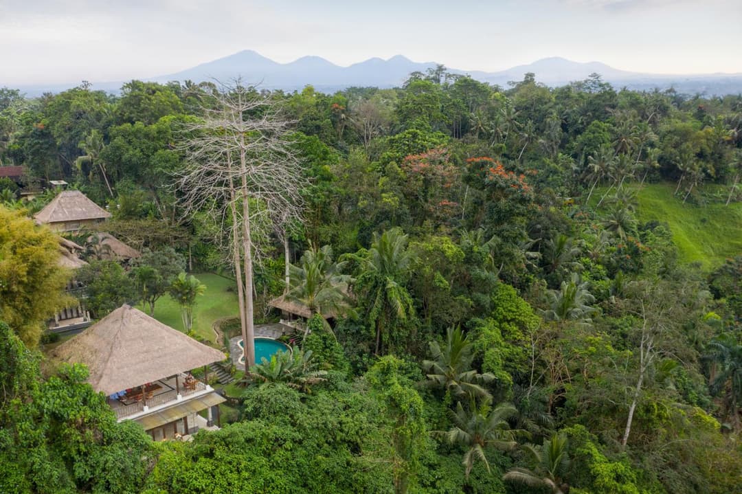 The Allure Ubud Villas & Spa crafted by freshWater Asia — photo 1 of 44