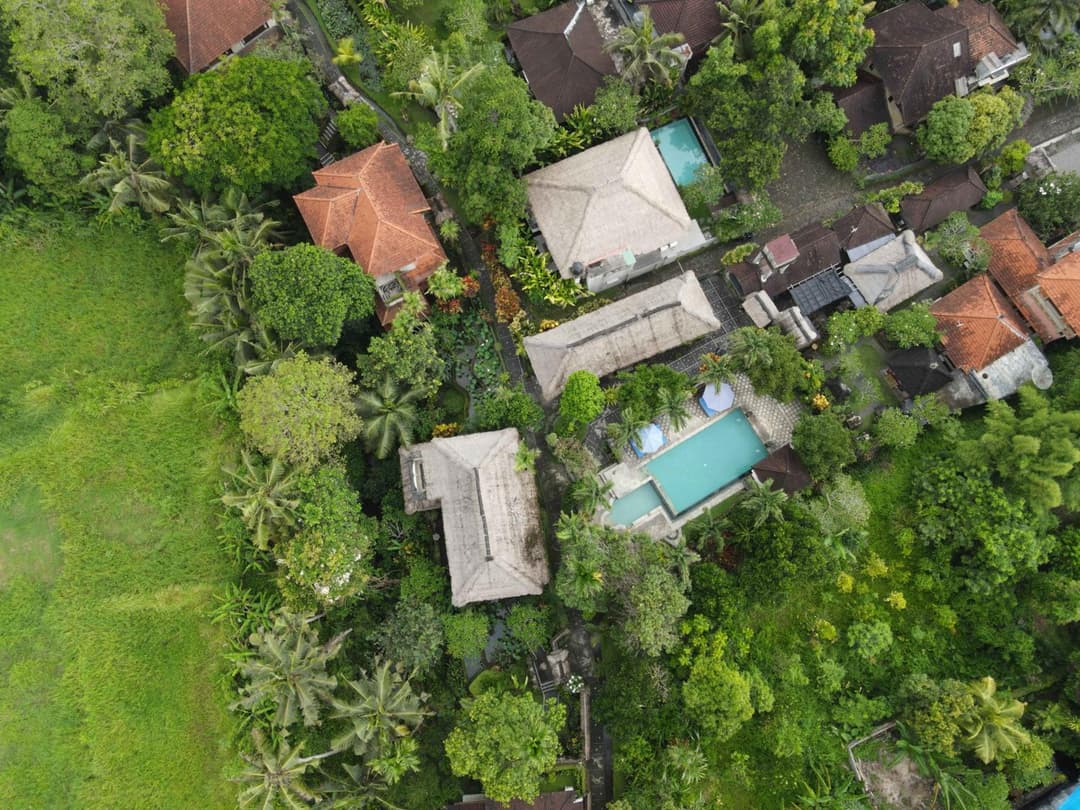Alam Jiwa Ubud — photo 1 of 87