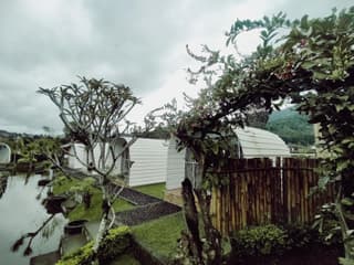 Glamour camping bedugul