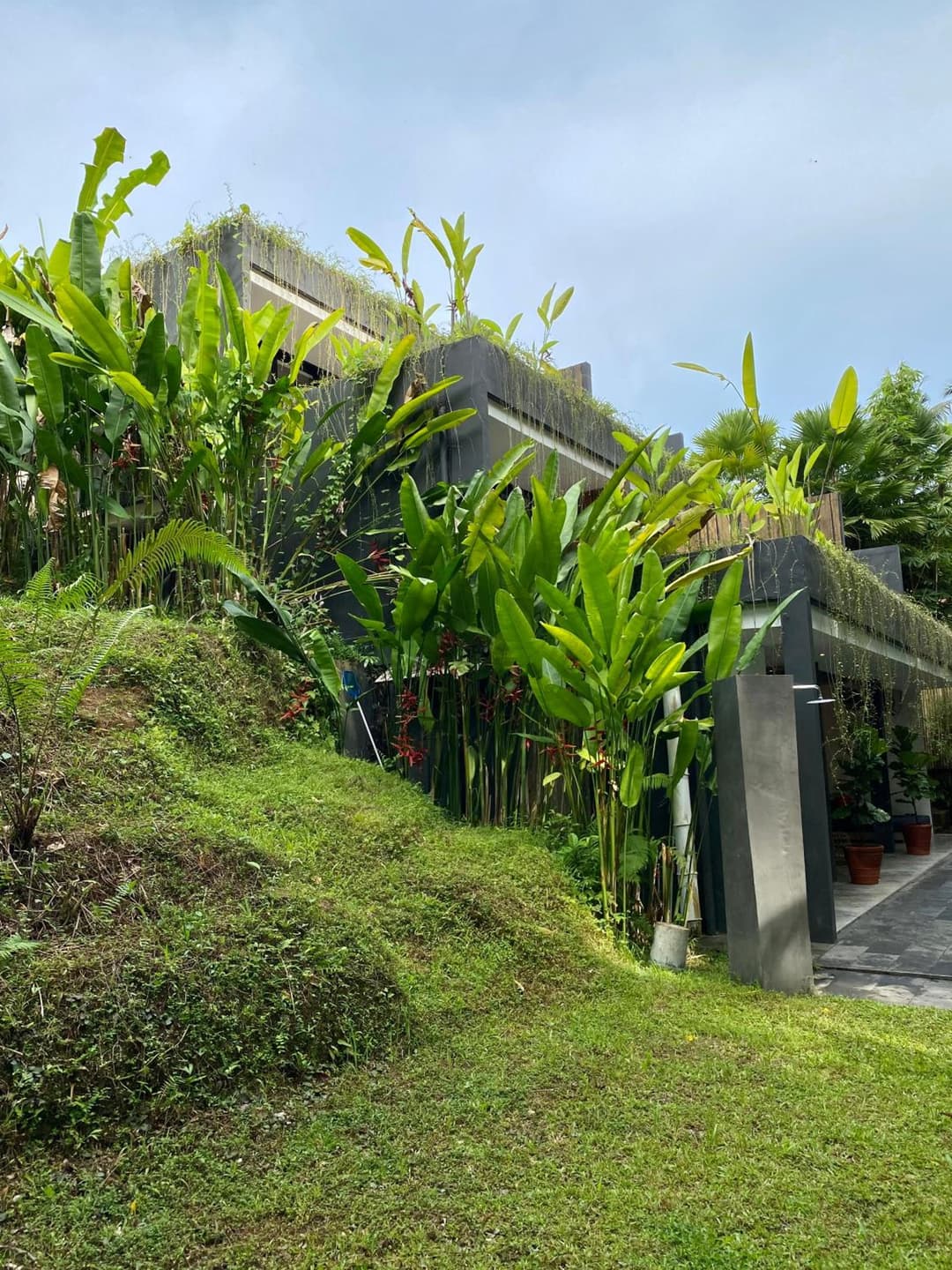 The CIVYT — photo 1 of 54