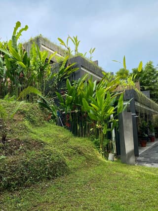 The CIVYT