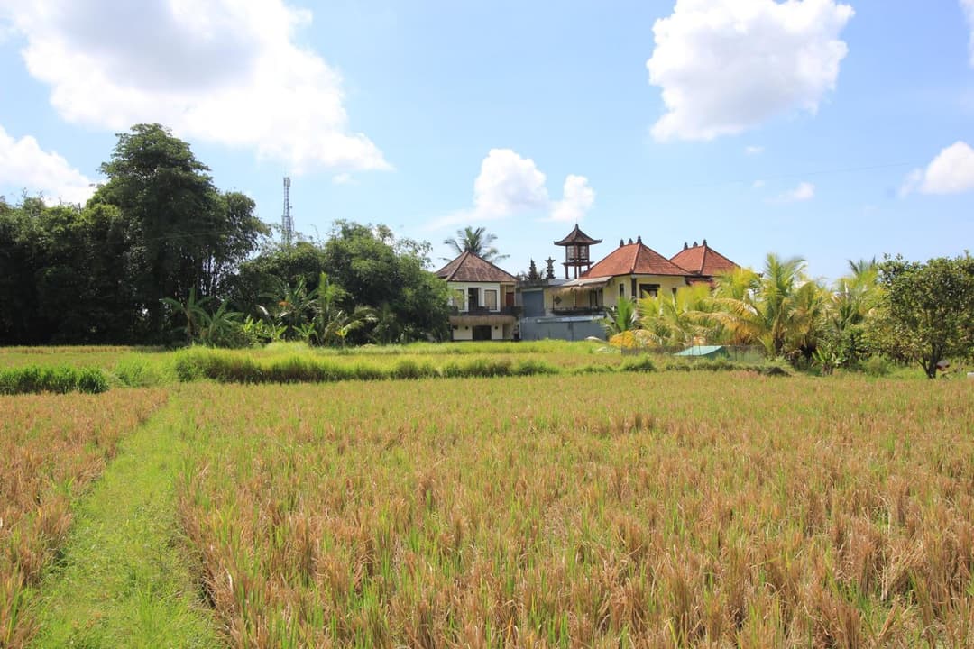 SUARA SIDHI Villa Ubud Bali — photo 1 of 45