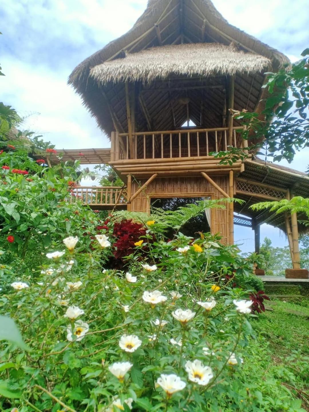 Lembah Cinta Mayungan — photo 1 of 221