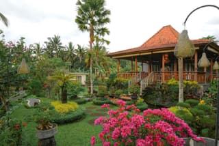Villa Capung Mas Ubud
