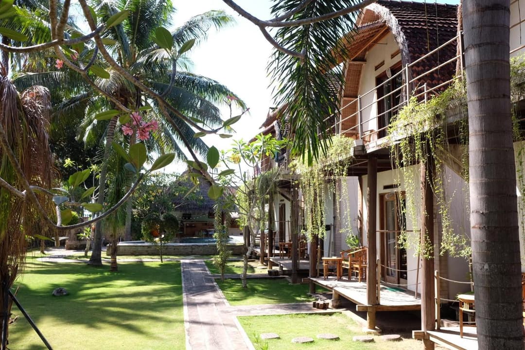 Tentacle Bali — photo 1 of 1