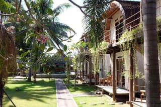 Tentacle Bali