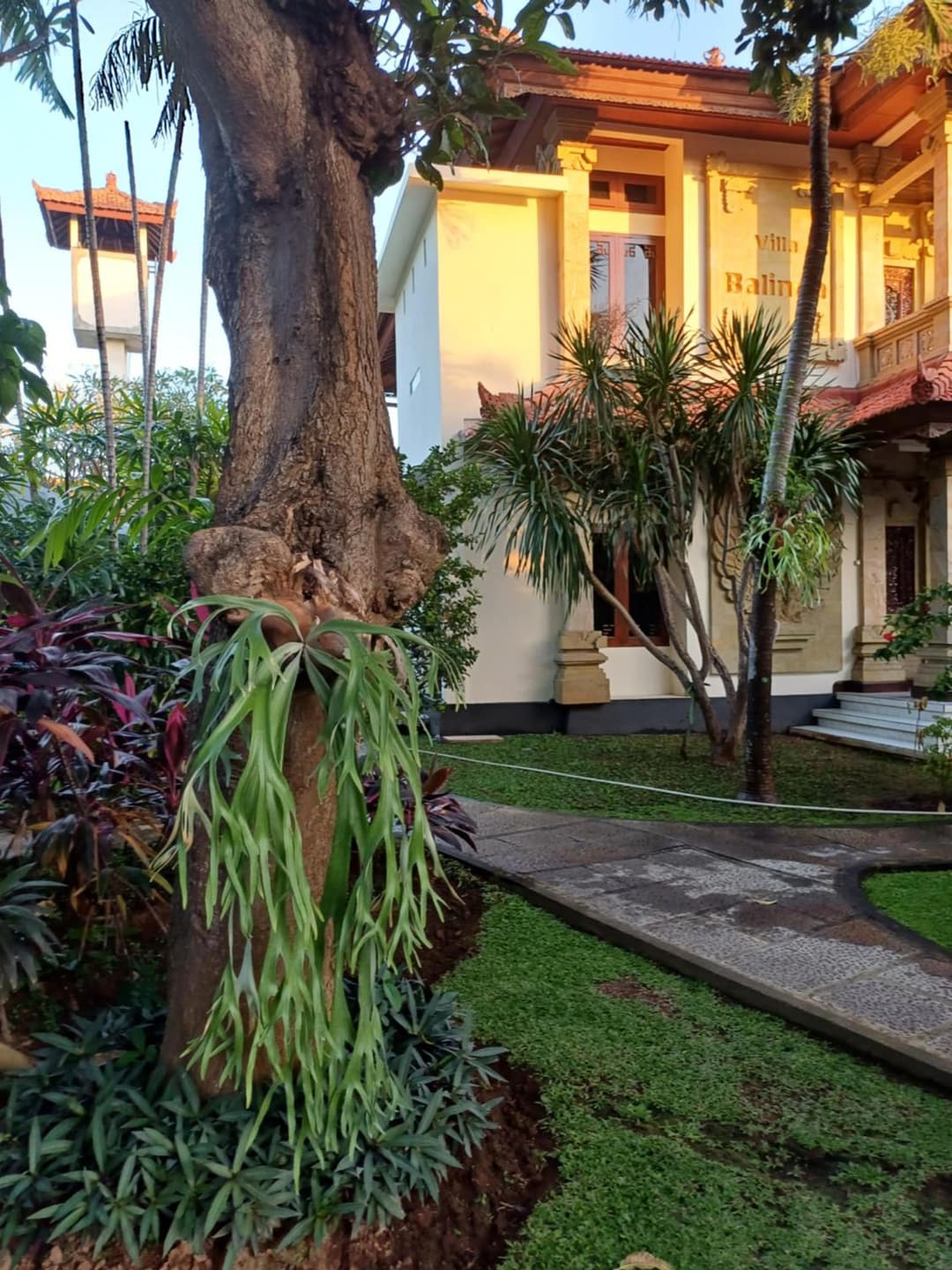 Balinda Rooms & Villa — photo 1 of 49